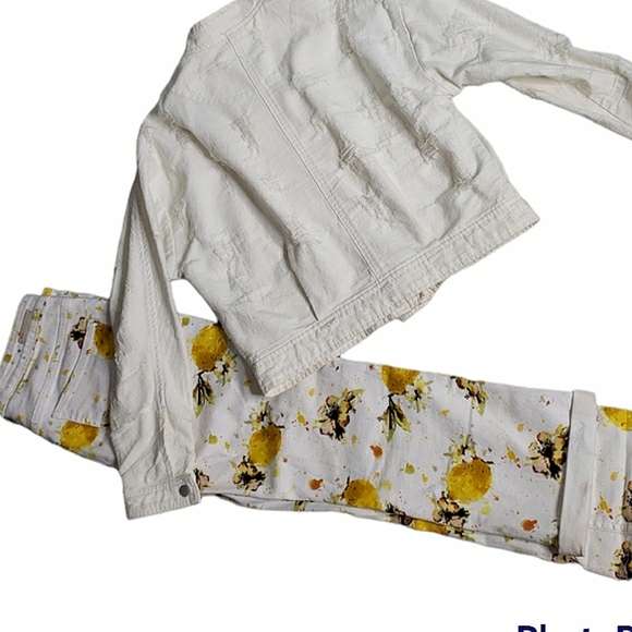 Pilcro and Letterpress for Anthropologie Highrise Lemon Novelty Cropped Jeans 28 - Picture 11 of 14